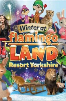 WINTER AT FLAMINGO LAND  – HALF-PRICE